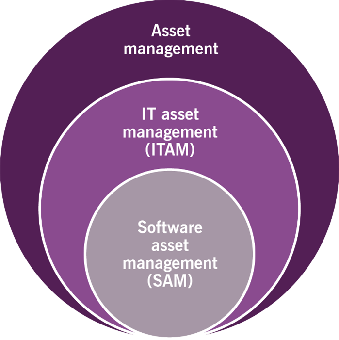 Figure 2.1 Example of interdependence of IT assets