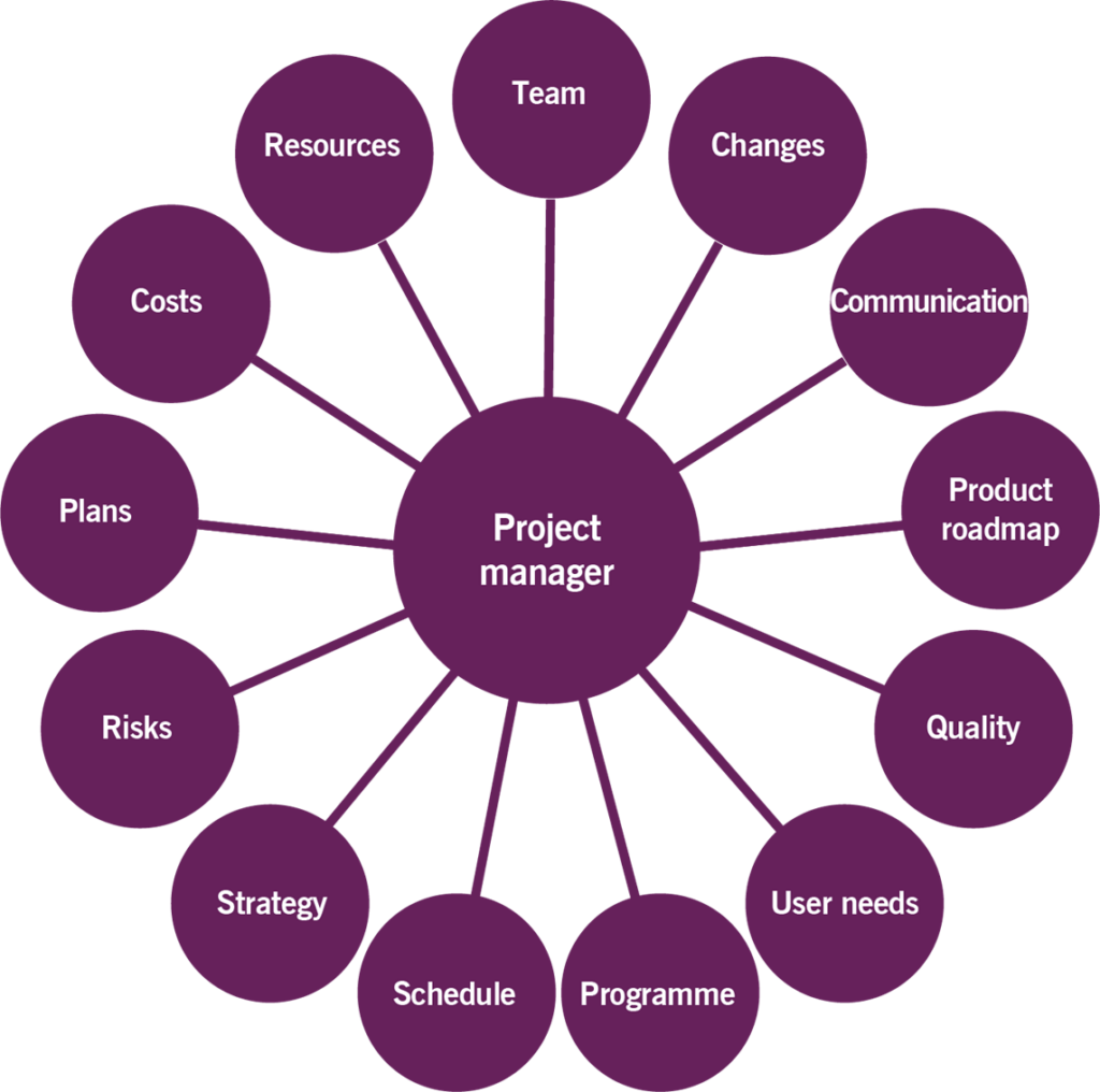 Figure 4.1 The facets of the project manager role