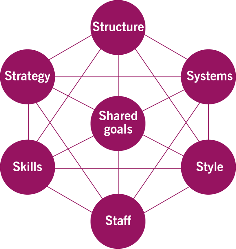 Figure 2.3 The 7-S model[1]